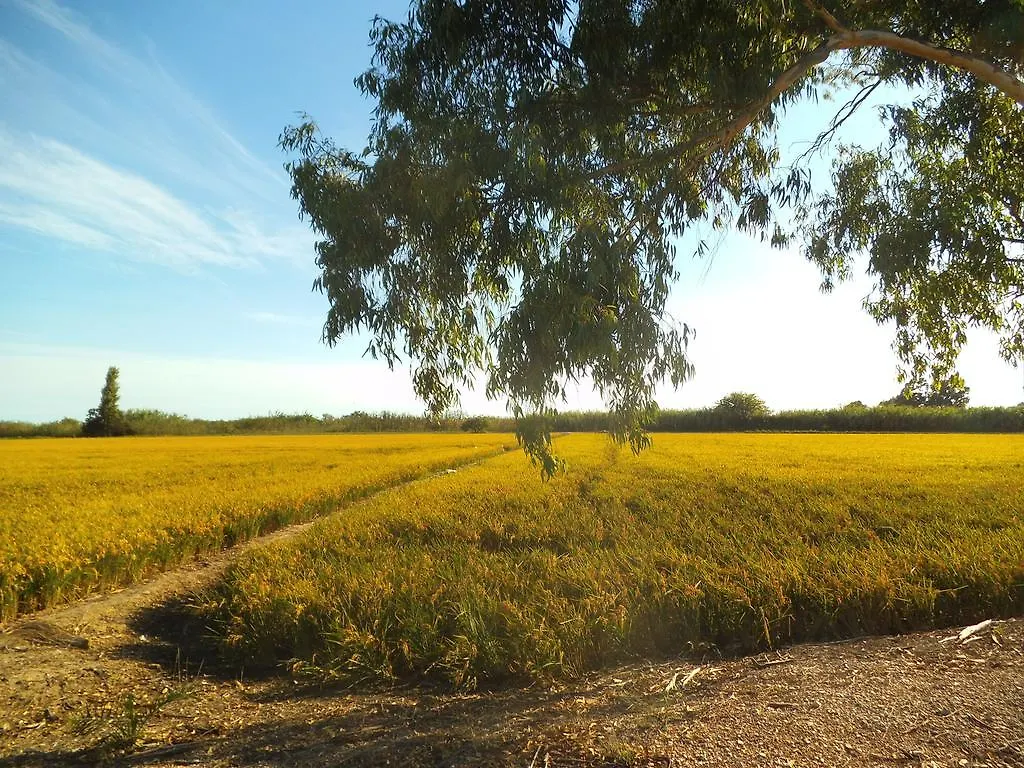 Mas Dels Bonos Holiday home Deltebre Country house