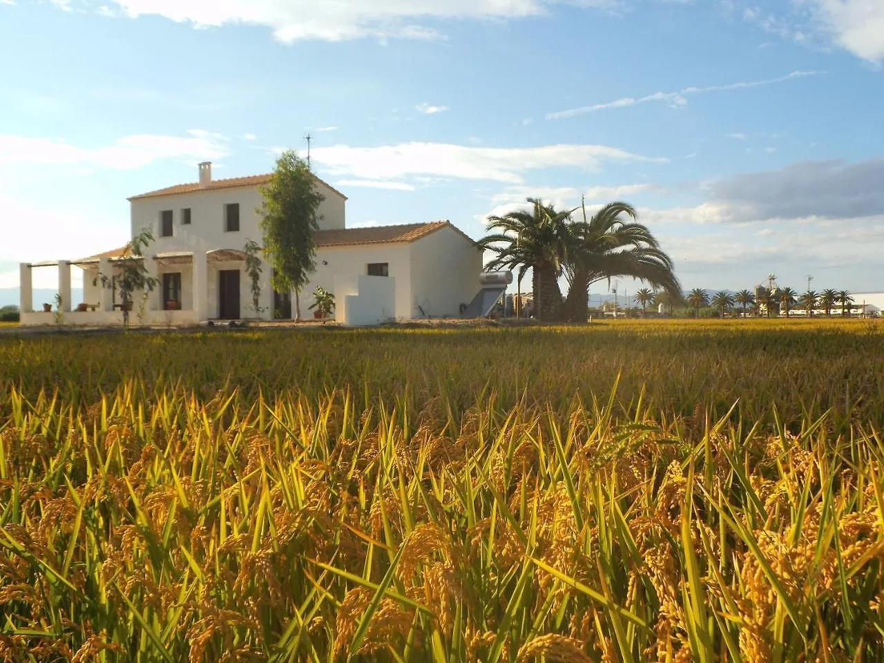 Mas Dels Bonos Holiday home Deltebre Spain